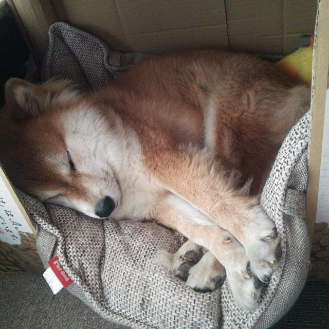 足球赛事合作社交平台实现球迷实时互动，足球社交是什么