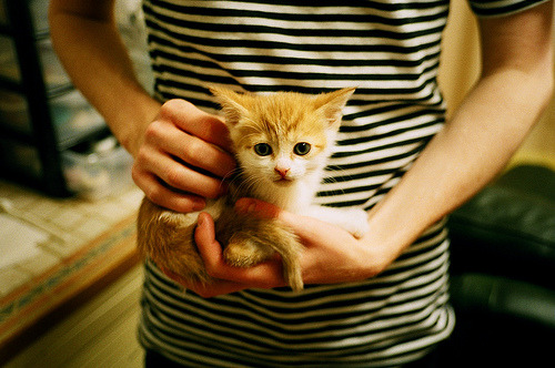 足校体系全面升级,助力打造未来专业队伍,足校青训