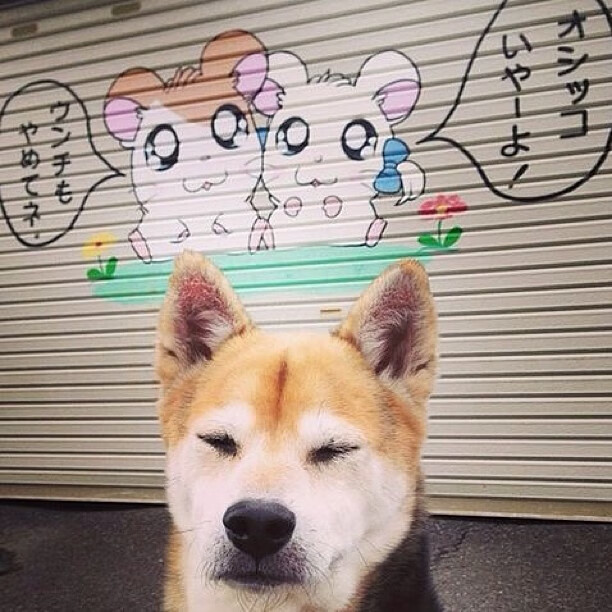 利物浦青训球员崭露头角 进攻势头强劲，利物浦青训队