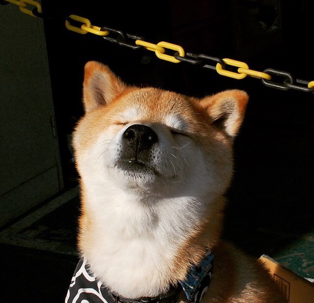 卡利亚里后卫犯错失分，球队遭遇不利结果，卡利亚里转会