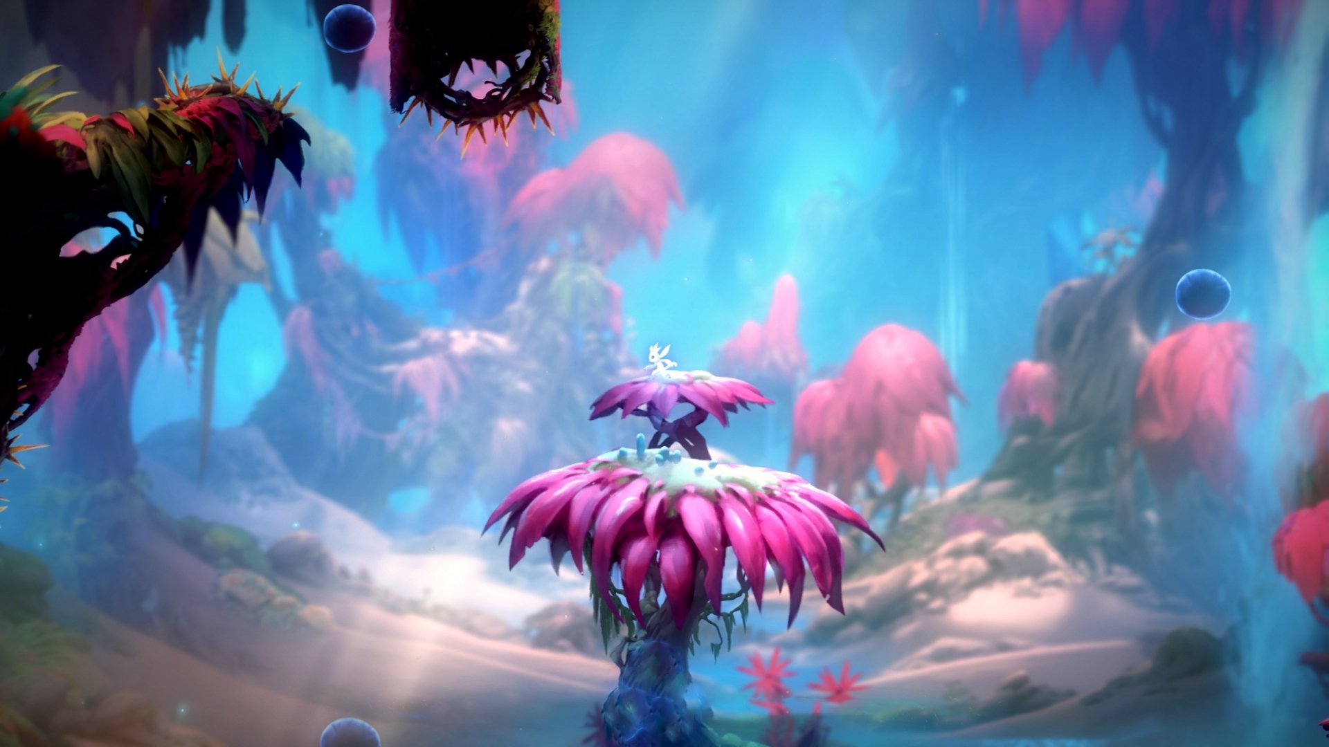 华夏幸福客场惨败，积分榜排名下滑步伐明显，华夏幸福俱乐部今年怎么这么差