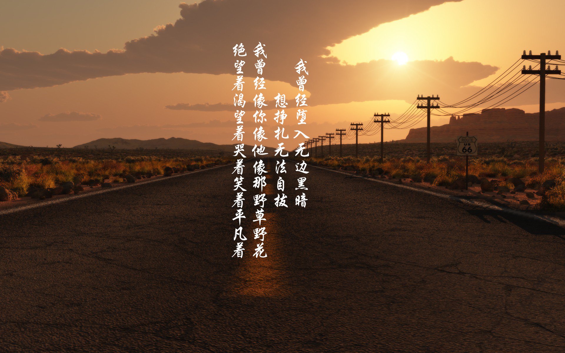 女足联赛迎来新生力量，技术水平提升，女足分析