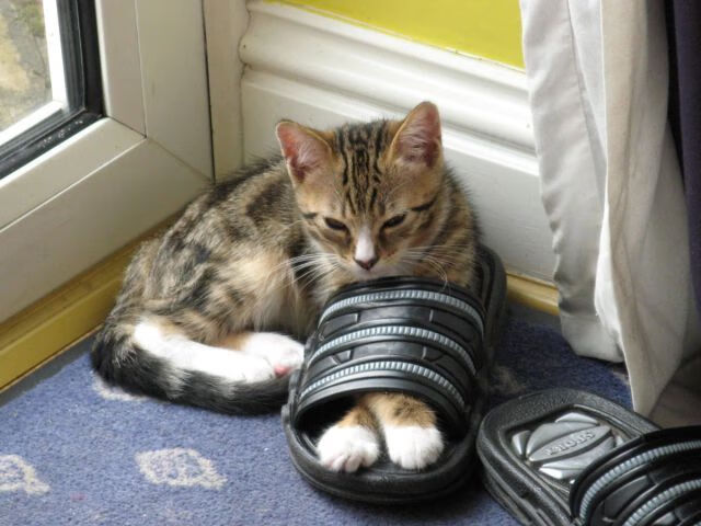 巴黎圣日耳曼主场告捷，梅西助攻姆巴佩双双闪耀，巴黎圣日耳曼签约梅西多少钱