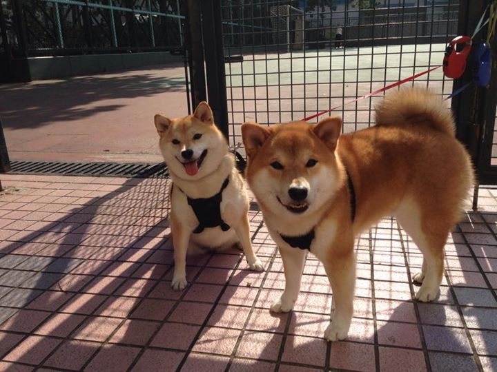 新疆广汇球员转会动向成焦点，新疆广汇队赛程