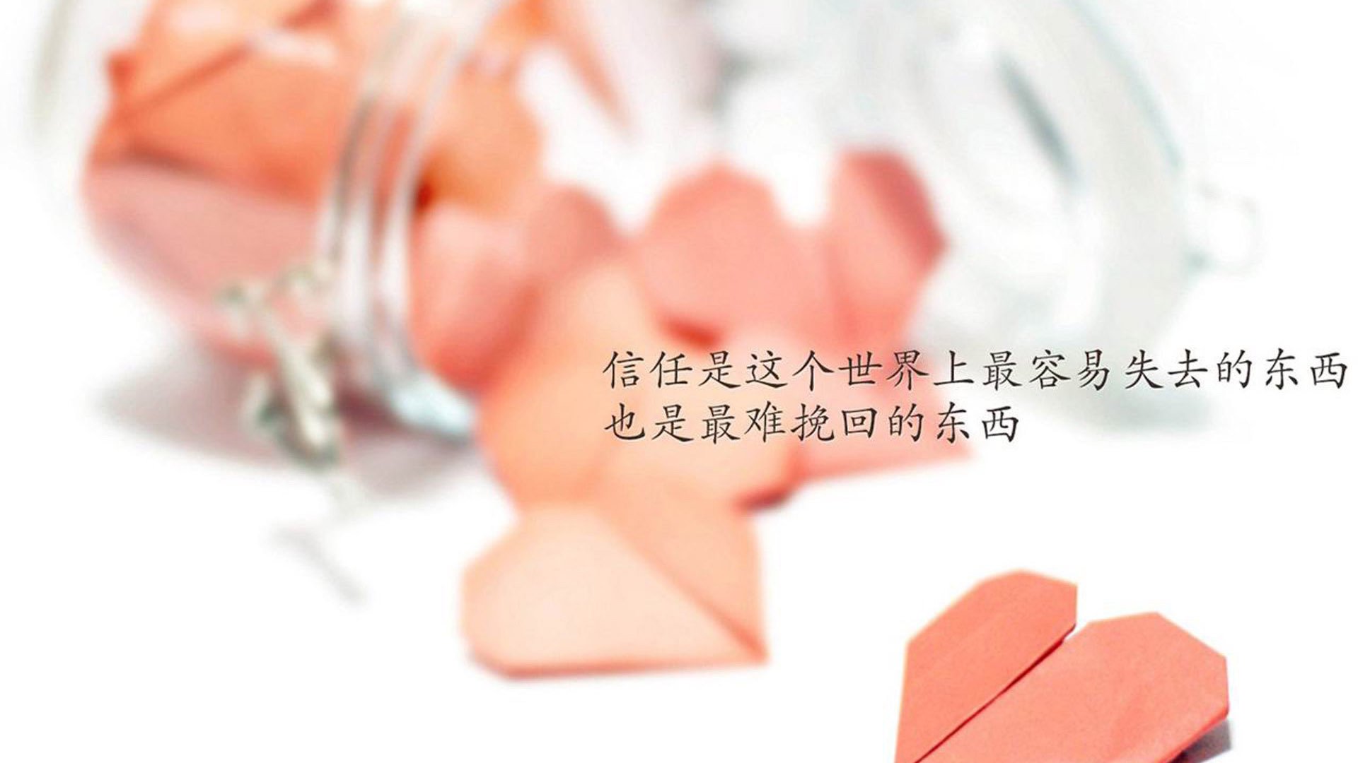 国足阵容深度与稳定性分析,国足阵营